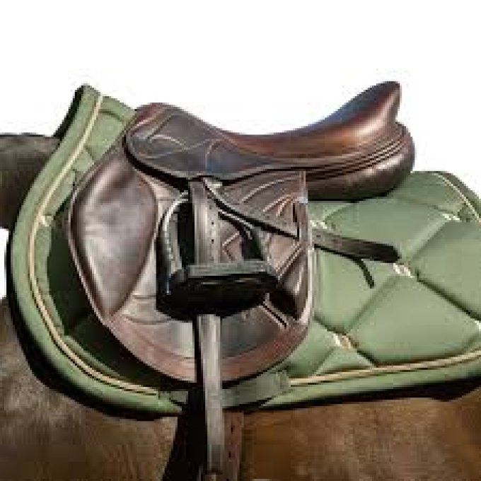 Tapis Night Back on Track