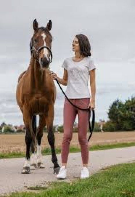 Tee shirt Magali Equithème