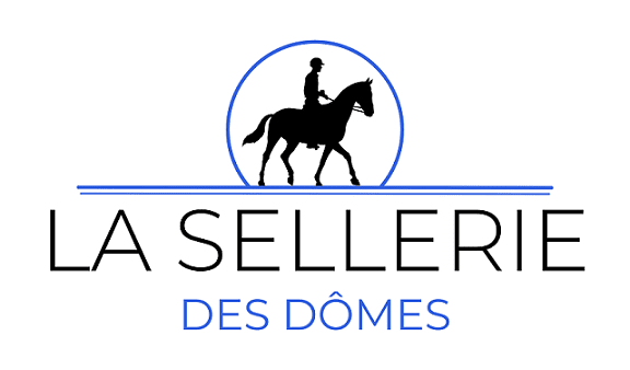 laselleriedesdomes.fr